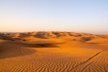 The Desert in Ras al Khaimah, United Arab Emirates