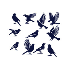 bird silhouette Clip art isolated vector illustration on white background