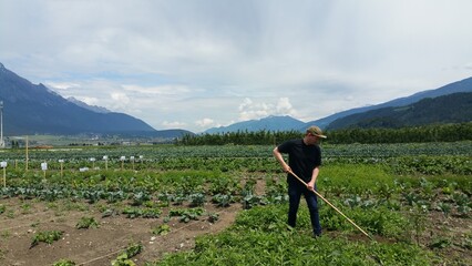 Mann arbeitet auf Feld