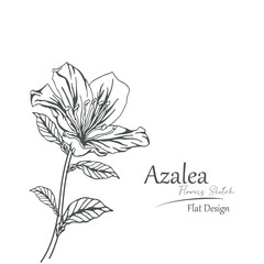 azalea flower sketch vector illustration.
