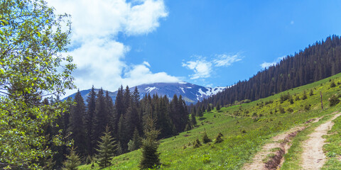 Fabulous and mysterious path in the forest. Location place of Carpathians mountain, Ukraine, Europe.