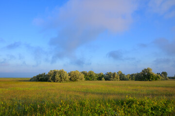 Lake Neusiedl Seewinkel National Park on a sunny morning