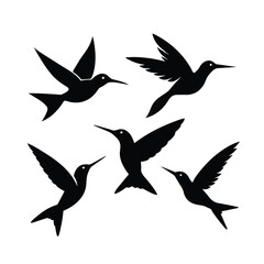 Obraz premium Bird sihlouette 