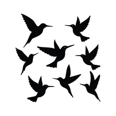 Bird sihlouette 