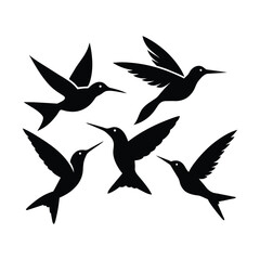 Bird sihlouette 