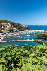 View above fig trees of Agropoli port, Italy