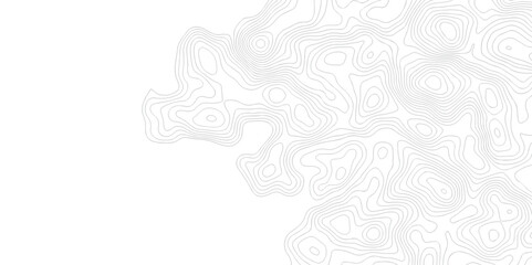 White wave paper curved reliefs abstract background. The topographic map contour in lines isolated. Abstract white topographic map background with lines. Background of the topography map.