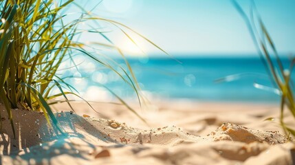 Whispers of lush green grass complement golden sands and gentle waves