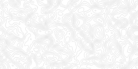 White wave paper curved reliefs abstract background. The topographic map contour in lines isolated. Abstract white topographic map background with lines. Background of the topography map.