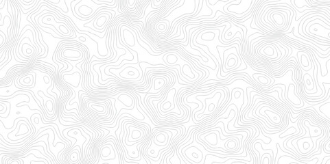 White wave paper curved reliefs abstract background. The topographic map contour in lines isolated. Abstract white topographic map background with lines. Background of the topography map.