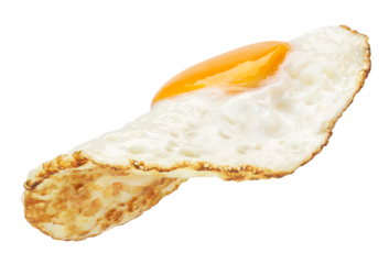 Flying fried egg isolated