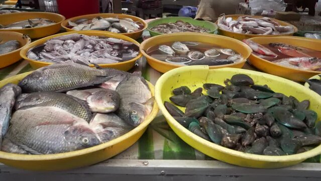 Colorful choice of fish at a market. Various fresh fish and seafood. Top down view on multiple rows of various raw freshly caught fish on ice for sale in Kudus, Central Java, Indonesia.
