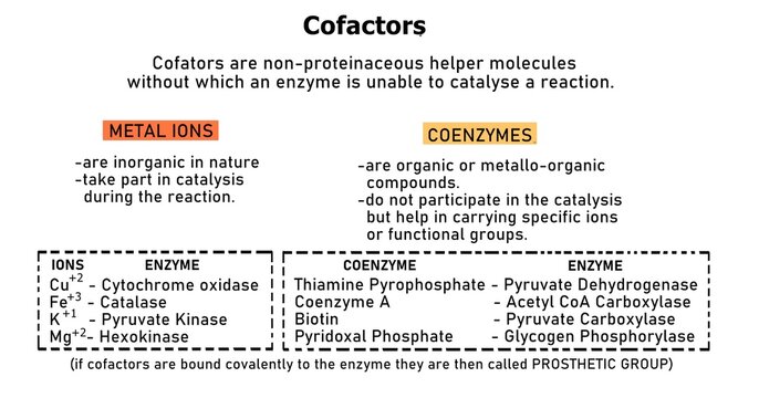 A cofactor is a non-protein molecule or a metallic ion that is required for an enzyme's activity as a catalyst. Cofactor can be of two types- a metal ion or an organic molecule.

