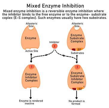 Mixed Enzyme inhibition is another type of reversible enzyme inhibition where the inhibitor may bind to both - the free enzyme (E) or the enzyme-substrate (ES) complex and stop the catalysis. 