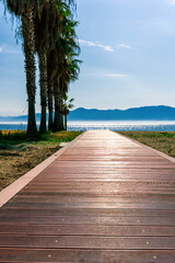 summer season landscape of a beach road to the sea with palm sidewalk way blue watewr and cloudy sky with mountains on background