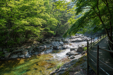 지리산 계곡