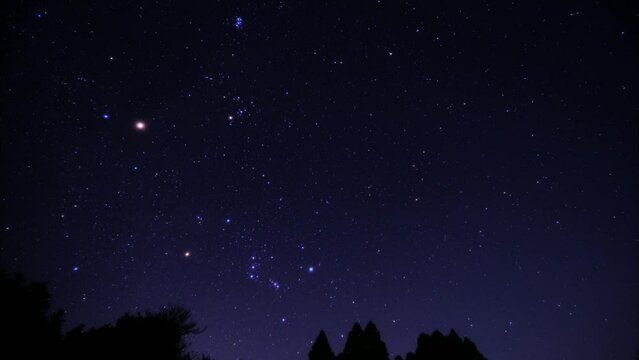 冬の星座