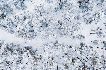 Winter road in snow covered forest, aerial view. Estonia.