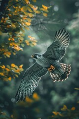 A bird flying through the air with its wings spread