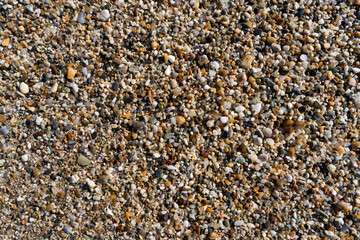 Natural small sea pebble multicolored background