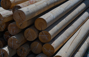 wooden poles stand on the ground