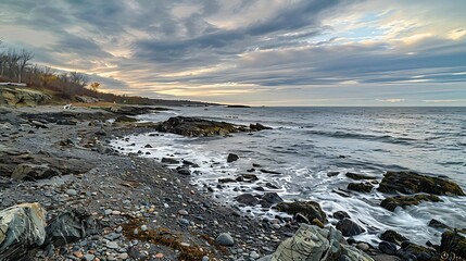sunset over a rocky shoreline with a tall tree and large rocks, set against a cloudy blue sky