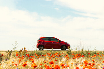 Red car on the poppy and wheat field foreground. Summertime travel. Travel in Ukraine. Scenery...