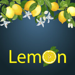 Banner with lemons and text.Vector illustration with lemons and decorative text on a colored background.