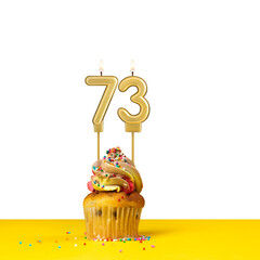 Birthday candle number 73 - Cupcake on white background