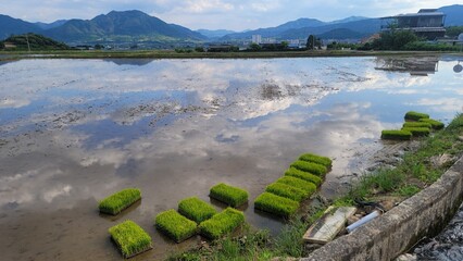논,반영,하늘,호수,