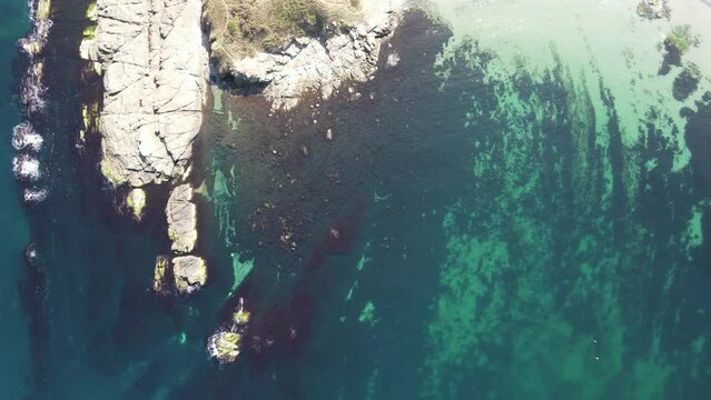Aerial view of Black Sea coastline near village of Varvara, Burgas Region, Bulgaria 