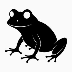 frog on a white background