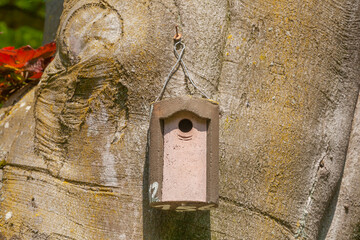 Vogelhaus aus Holz an einem Baumstamm hängend , Deutschland