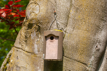 Vogelhaus aus Holz an einem Baumstamm hängend , Deutschland