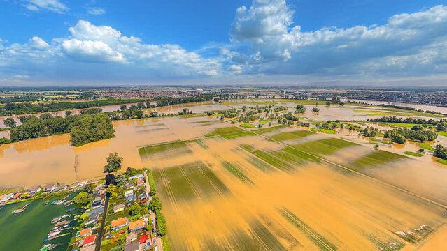 high water rhine river flood 2024 lake eicher see germany europe 4k / 30fps