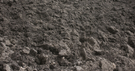 Plowed land prepared for planting seedlings