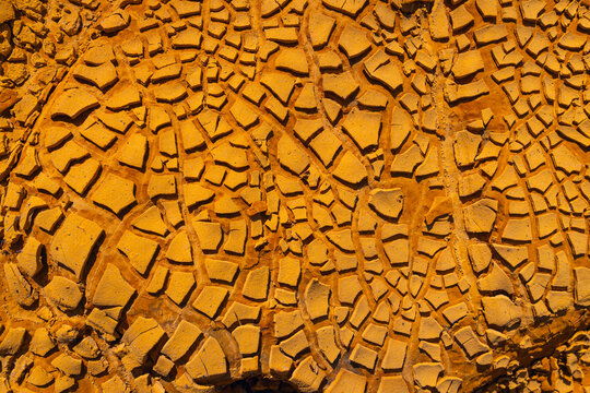 Cracked Earth Texture at Riotinto Mine Site