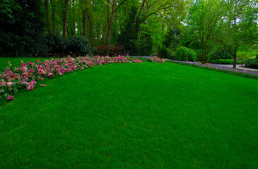 Obraz premium Garden with blooming spring flowers