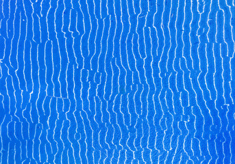 Patterns drawn by the river on the sand