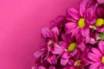 Pink background with pink flowers, background with flowers, space for text