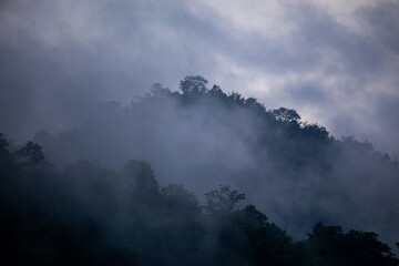 The background texture of mountains in the rainy season and the icy rain fog feels cool and refreshing with the green color of the forest that is cool and pleasing to the eye.