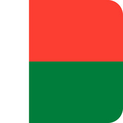 Madagascar flag square  icon