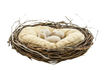 Close-up of a cozy bird nest with eggs nestled inside, representing nature, new life, and nurturing care. Perfect for spring themes and wildlife.