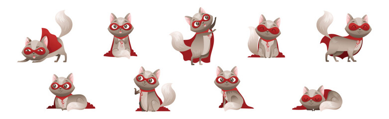 Grey Cat Superhero Character Wearing Red Cloak and Mask Vector Set.