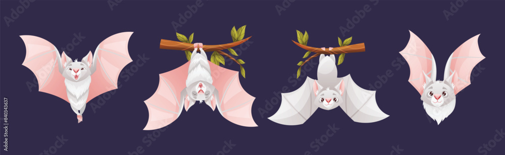 Poster bat flying creature character hang on tree branch vector set