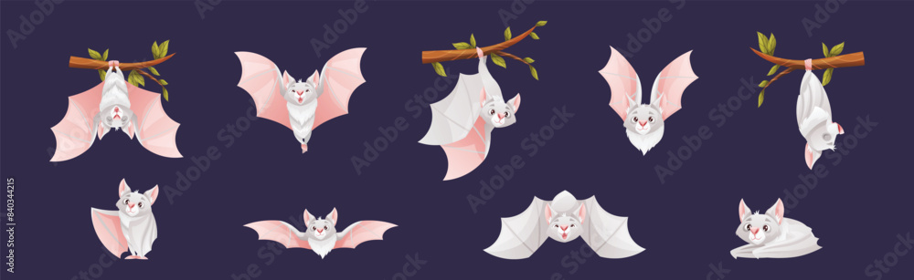 Poster bat flying creature character hang on tree branch vector set