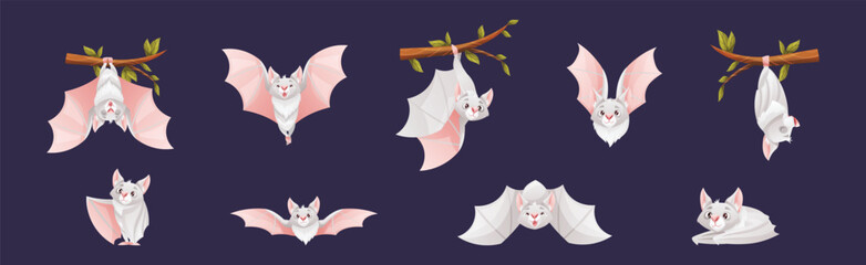 Bat Flying Creature Character Hang on Tree Branch Vector Set