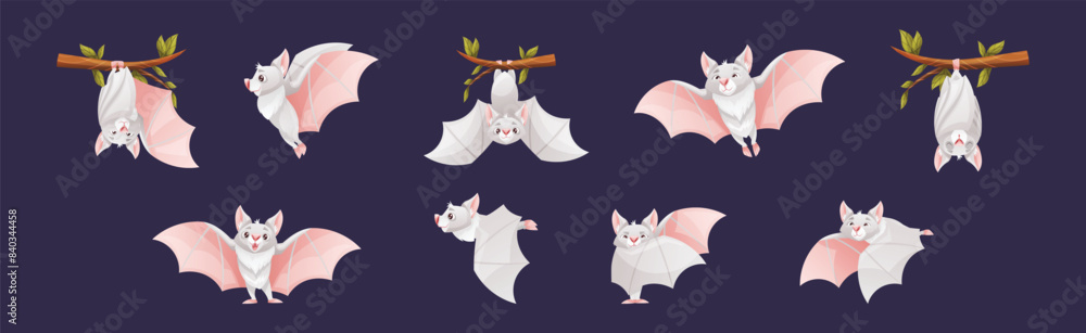 Poster bat flying creature character hang on tree branch vector set