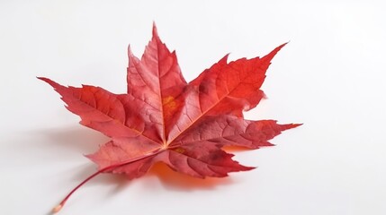 Canada Independence Day. Red maple leaf on a white background, close-up. AI generated.