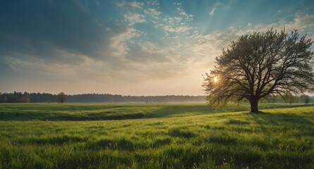 Fototapeta premium empty spring meadow landscape banner copyspace background